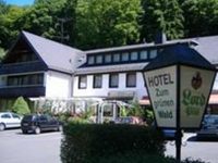 Hotel Zum Grunen Wald Villmar