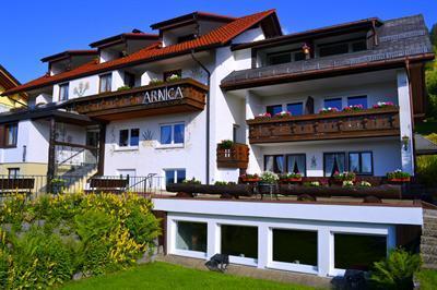 фото отеля Hotel Arnica