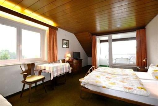 фото отеля Hotel Arnica