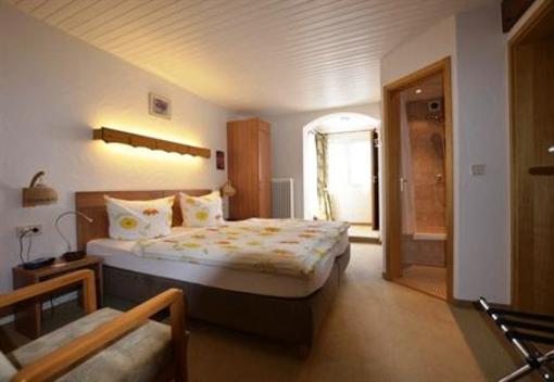 фото отеля Hotel Arnica