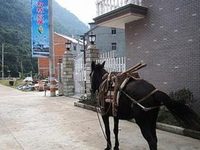 Shuanglin Bozai Farmer House No.5 Villa