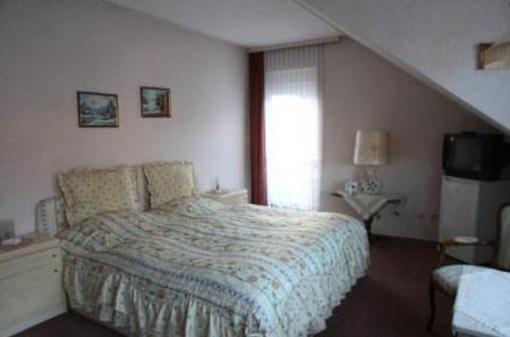 фото отеля Pension Ramona Bad Soden-Salmunster