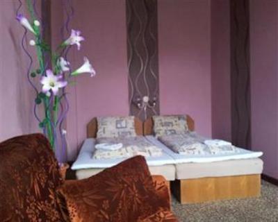фото отеля Parkhotel Cesky Sternberk