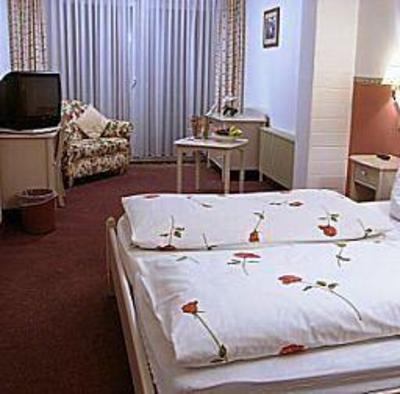 фото отеля Hotel Schlossgarten Gladenbach
