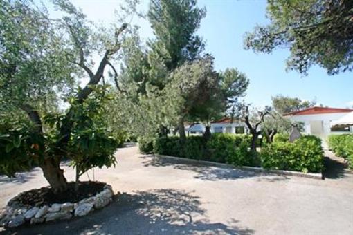 фото отеля Villaggio Club degli Ulivi