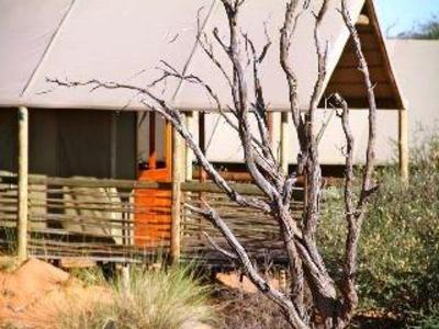 фото отеля Suricate Tented Kalahari Lodge