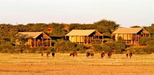 фото отеля Suricate Tented Kalahari Lodge