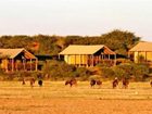 фото отеля Suricate Tented Kalahari Lodge