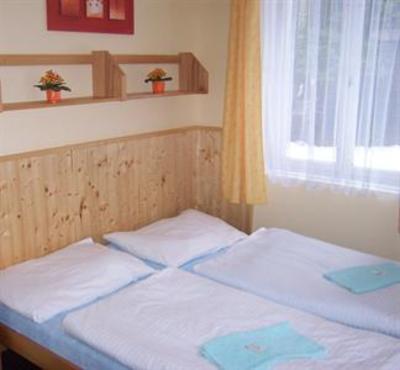 фото отеля Hotel a Penzion Pegas