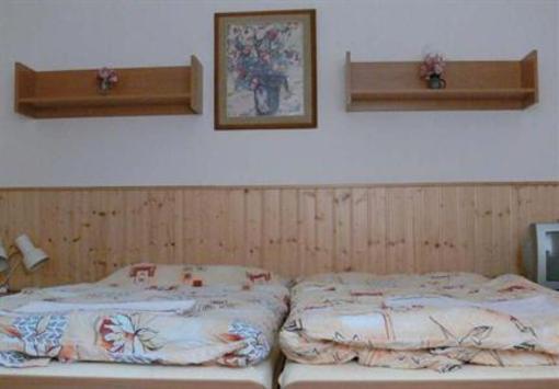 фото отеля Hotel a Penzion Pegas