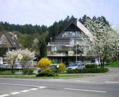 фото отеля Waldhotel Hartmann Wiehl