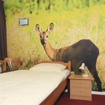 фото отеля Hotel de Drift Dwingeloo
