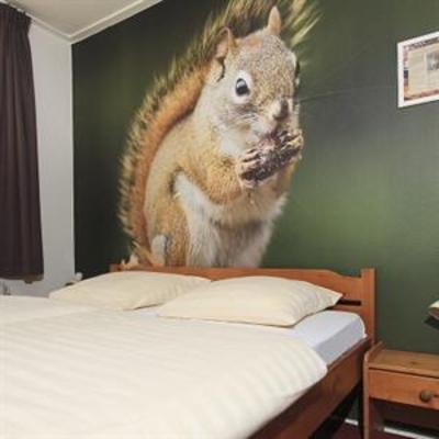 фото отеля Hotel de Drift Dwingeloo