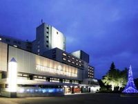 Jozankei Grand Hotel Zuien Jozankei Grand Hotel Zuien