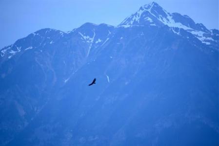 фото отеля Mount 7 Lodges Golden (British Columbia)