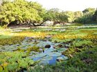 фото отеля Pousada Lagoa Caraiva
