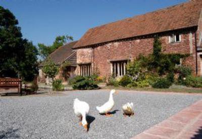 фото отеля Gurney Manor Mill Bed & Breakfast Bridgwater