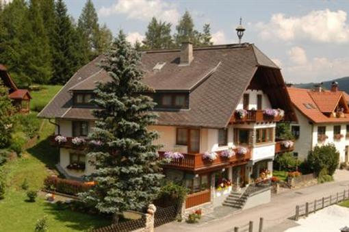 фото отеля Luftenegger Pension Mauterndorf