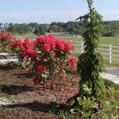 фото отеля The Guest Houses at Pineland Farms New Gloucester