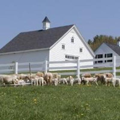фото отеля The Guest Houses at Pineland Farms New Gloucester
