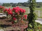 фото отеля The Guest Houses at Pineland Farms New Gloucester