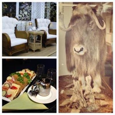 фото отеля Dovrefjell Hotel