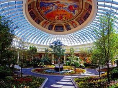 фото отеля Iberostar Grand Hotel Paraiso