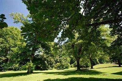 фото отеля Chateau De Montcaud Sabran