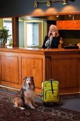 фото отеля South Thompson Inn Kamloops