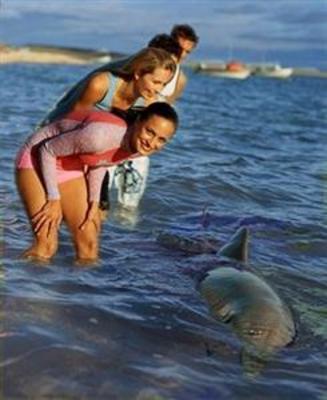 фото отеля Monkey Mia Dolphin Resort Denham