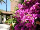 фото отеля La Bitta Hotel Tortoli