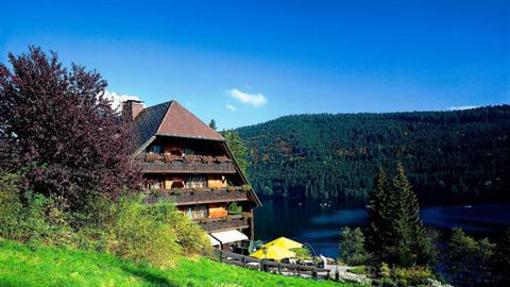 фото отеля Hotel Restaurant Alemannenhof Titisee-Neustadt