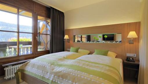 фото отеля Hotel Restaurant Alemannenhof Titisee-Neustadt