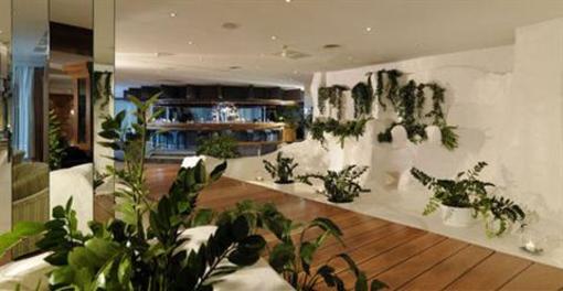 фото отеля Melia Tamarindos