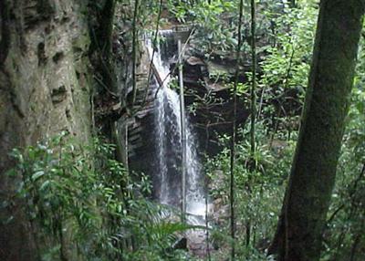 фото отеля Pousada Fazenda Mato Limpo