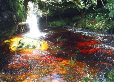 фото отеля Pousada Fazenda Mato Limpo