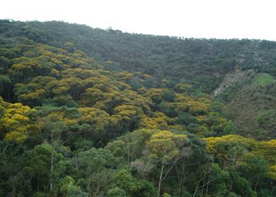 фото отеля Pousada Fazenda Mato Limpo