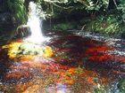 фото отеля Pousada Fazenda Mato Limpo