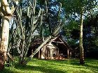 фото отеля Voyager Ziwani Tented Camp