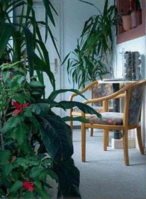 фото отеля Wiesentaler Hof