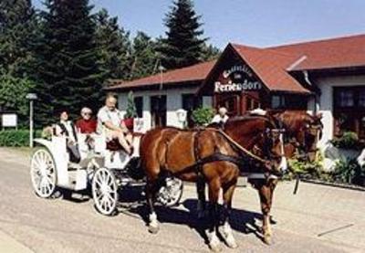 фото отеля Ferienpark Heidenholz