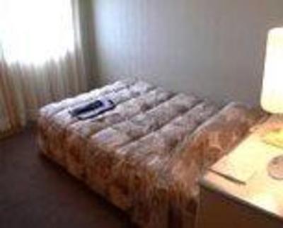 фото отеля Setouchi Kojima Hotel