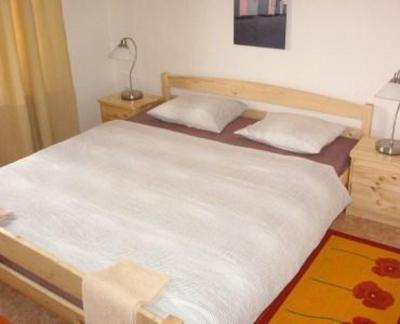 фото отеля Hotel Vyzlovka