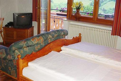 фото отеля Berghotel-Restaurant Hohenwirt