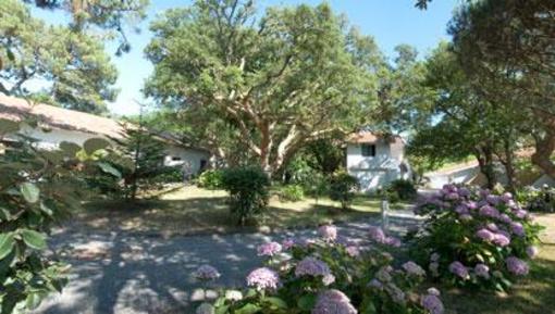 фото отеля Village-Club Louis Forestier