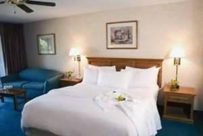 фото отеля Borrego Springs Resort