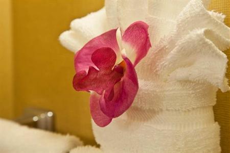 фото отеля Hilton Garden Inn PGA Village Port Saint Lucie