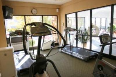фото отеля Best Western Plus CottonTree