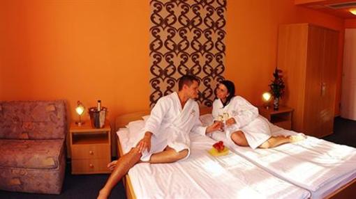 фото отеля Alfa Hotel es Wellness Centrum La Fiesta Etterem