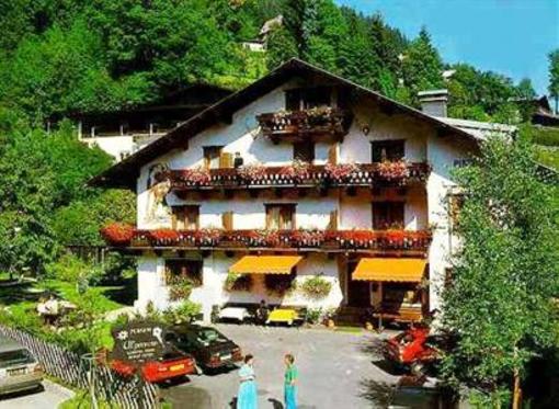 фото отеля Pension Alpenrose Zell am See